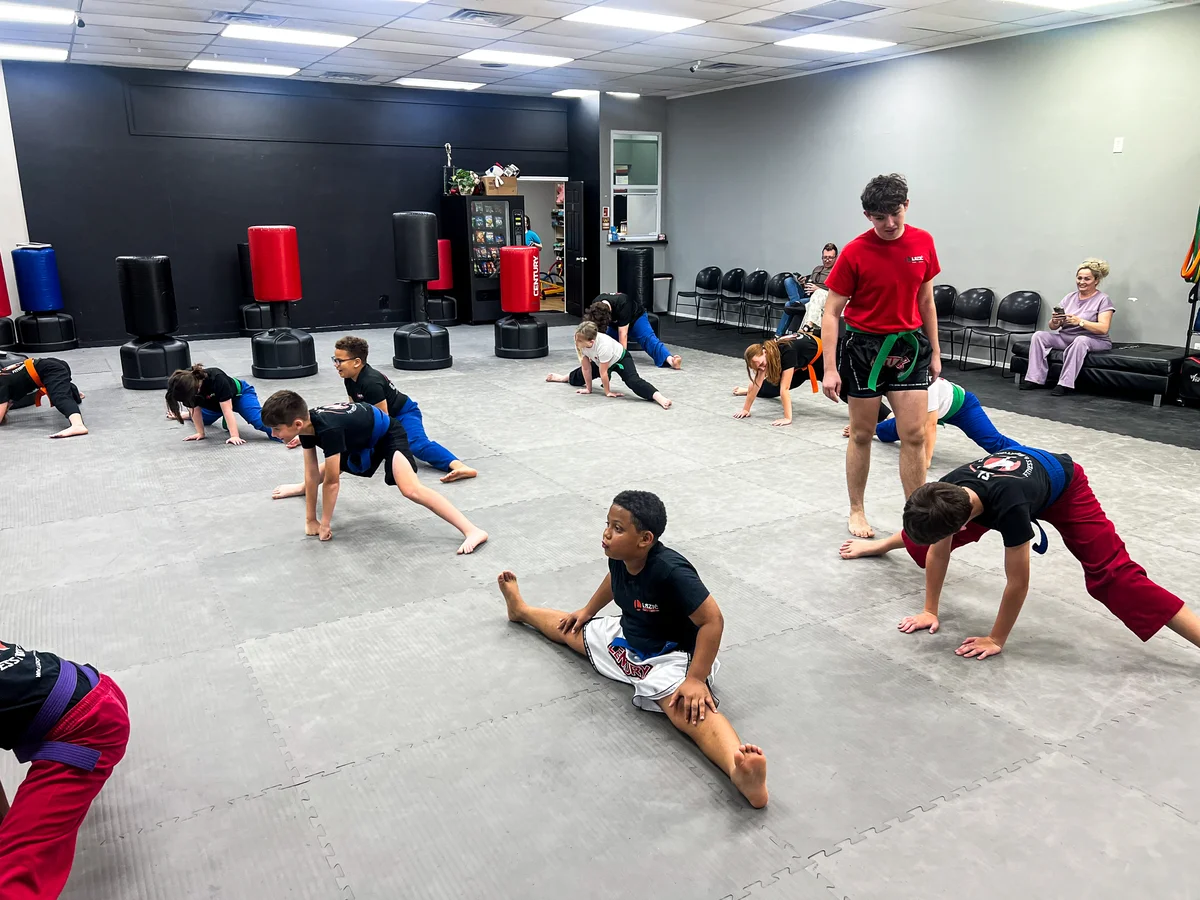 Lazic Martial Arts & Fitness facility image