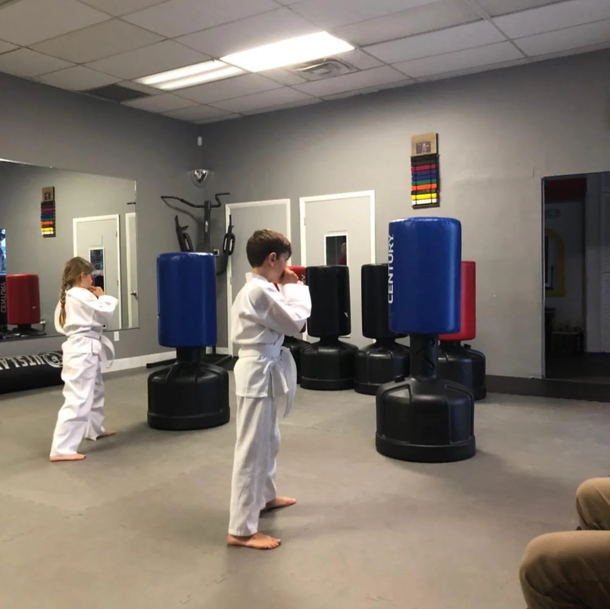 Lazic Martial Arts & Fitness facility image