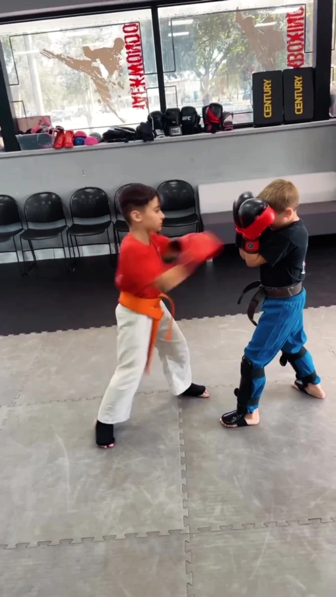 Lazic Martial Arts & Fitness facility image