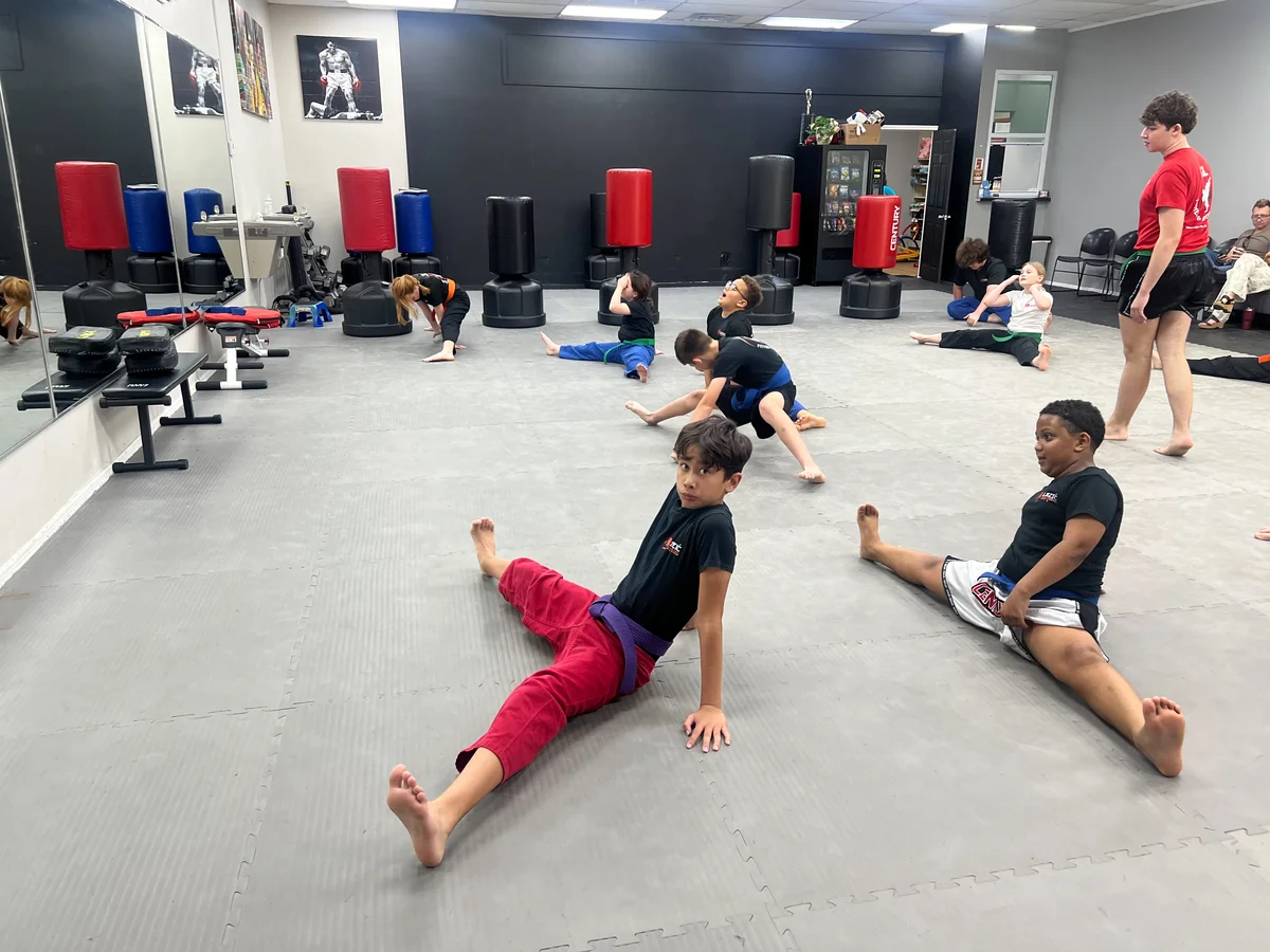 Lazic Martial Arts & Fitness facility image