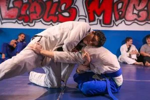 Ludus Magnus Academy of Mixed Martial Arts facility image