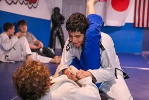 Ludus Magnus Academy of Mixed Martial Arts facility image