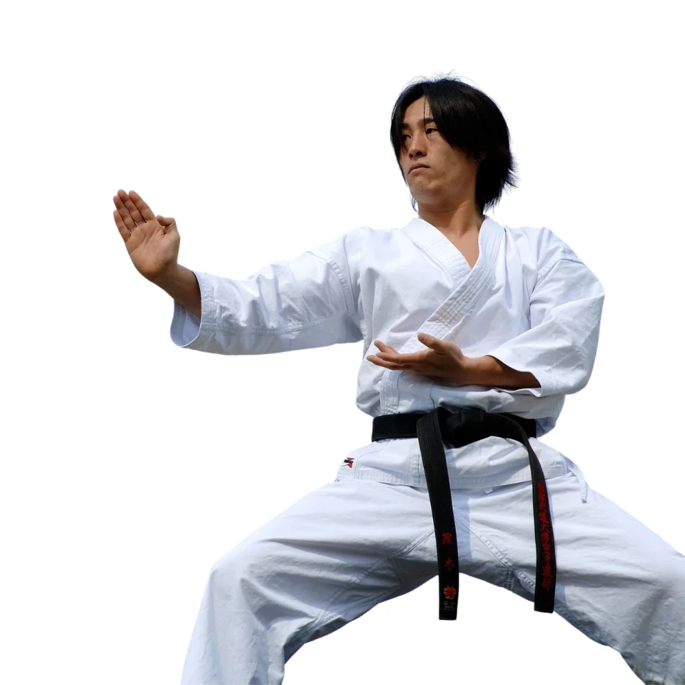 Mapping Martial Arts facility image