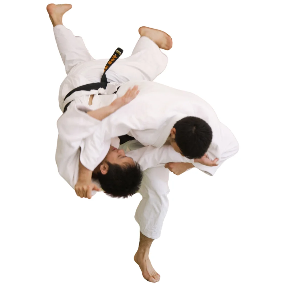 Mapping Martial Arts facility image