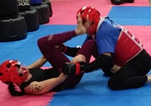 Mike Price’s Martial Arts and Fitness facility image