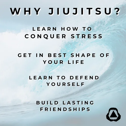 New Smyrna Beach Jiu Jitsu facility image