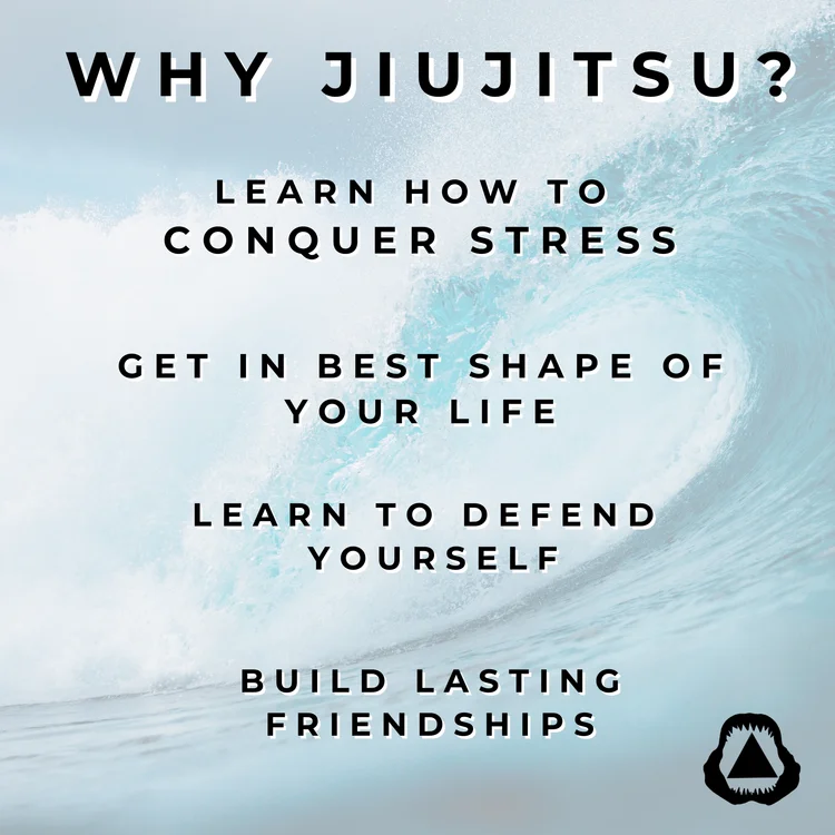 New Smyrna Beach Jiu Jitsu facility image