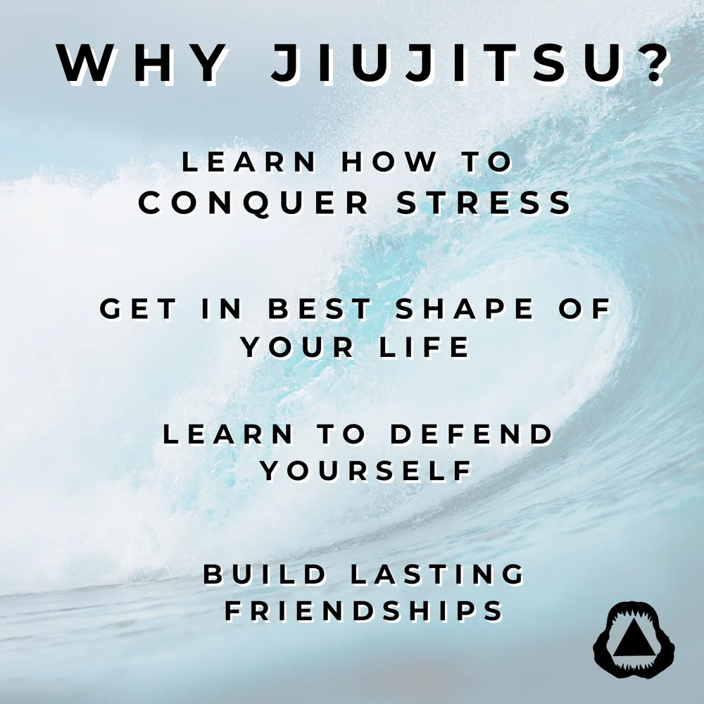 New Smyrna Beach Jiu Jitsu facility image