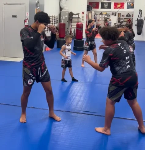 PALADIN MMA ACADEMY academy logo