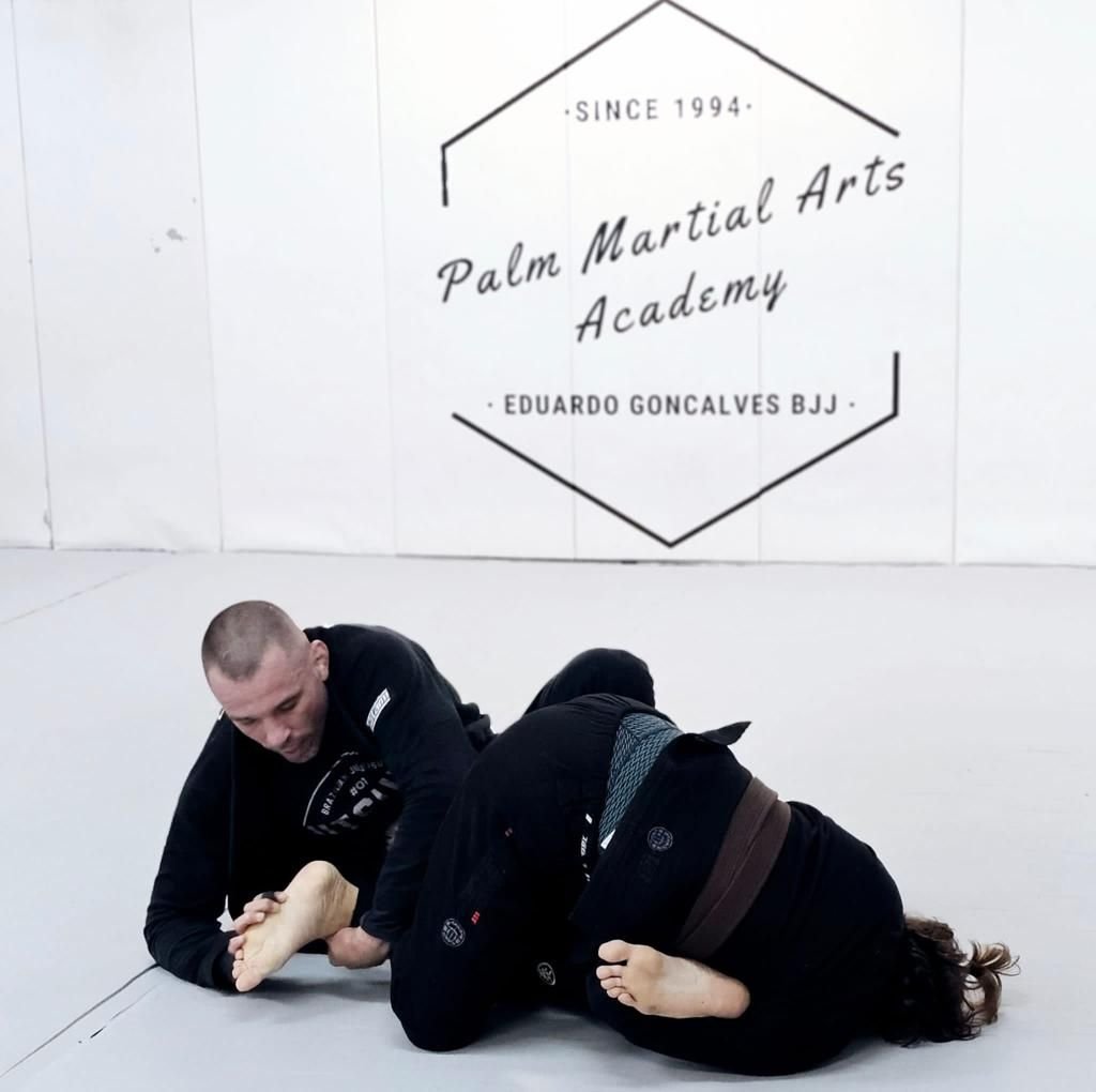Palm Martial Arts Academy facility image
