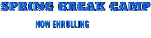Premier Martial Arts & Fitness Training / Palm Beach Gardens Martial Arts (PBGMA) facility image