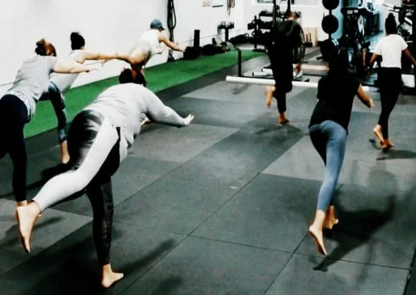 Premier Martial Arts & Fitness Training / Palm Beach Gardens Martial Arts (PBGMA) facility image