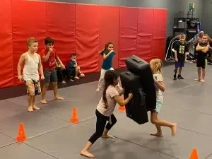 Primal Striking and BJJ facility image
