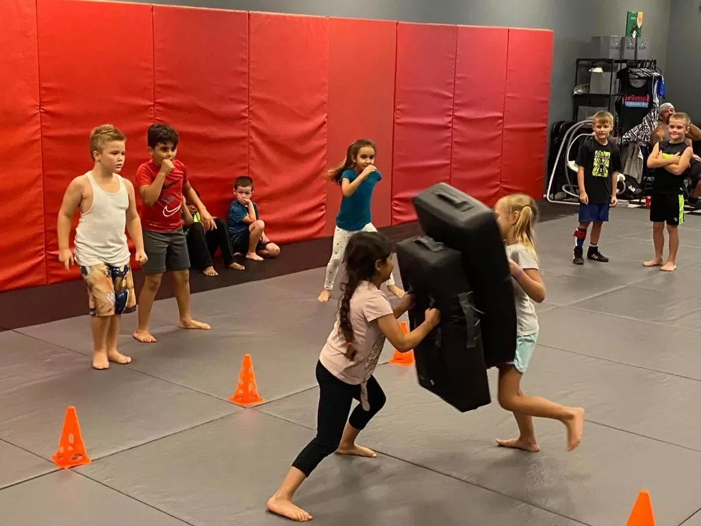 Primal Striking and BJJ facility image