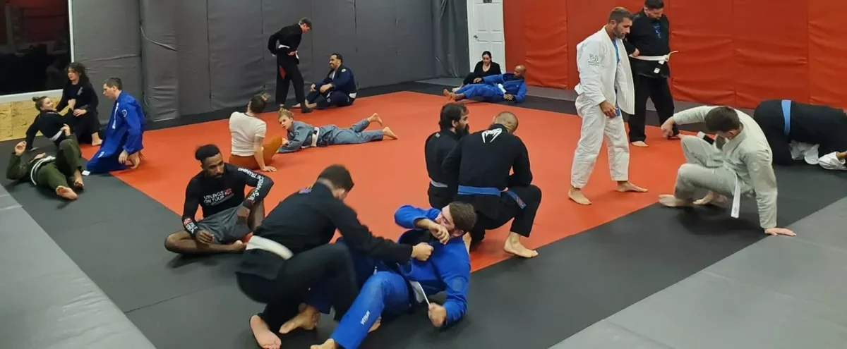 Primal Striking and BJJ facility image
