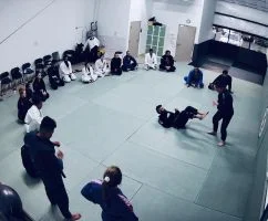 Primata Brazilian Jiu Jitsu facility image