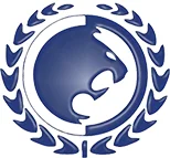 Renzo Gracie Jiu Jitsu Academy Naples academy logo