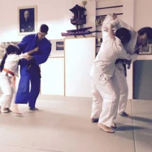 Rilion Gracie Doral Jiu-Jitsu facility image