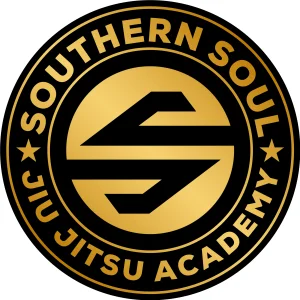 Southern Soul Academy — Navarre academy logo
