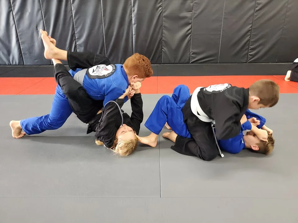 Sticks & Stones Brazilian Jiu-Jitsu facility image