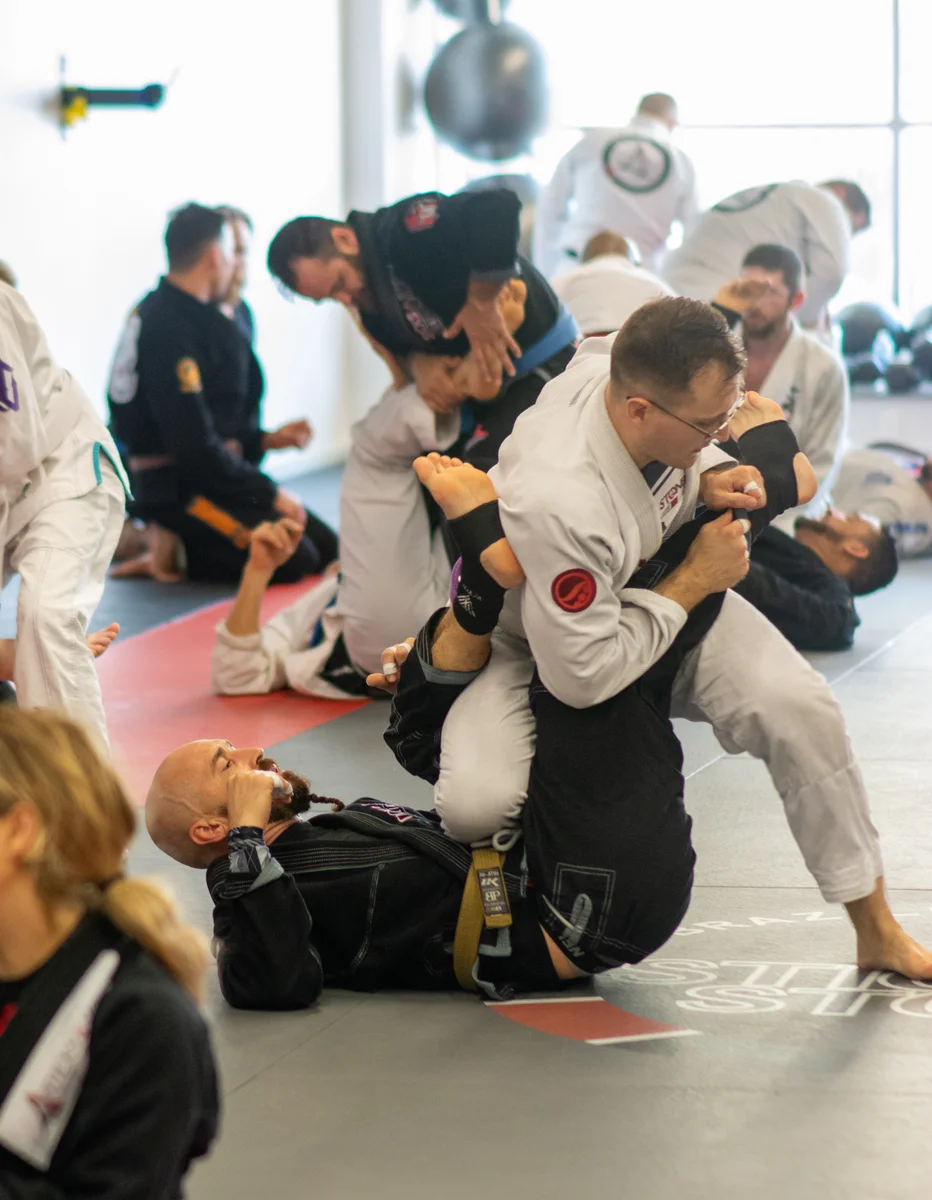 Sticks & Stones Brazilian Jiu-Jitsu facility image