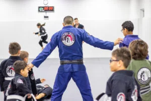 United Legion Brazilian Jiu-Jitsu LLC (ULBJJ) facility image