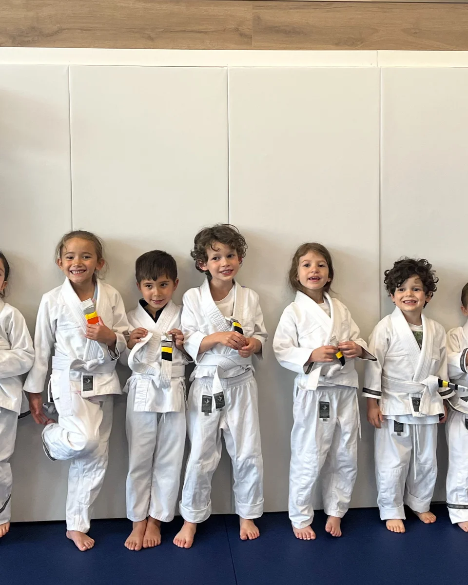 The People's Jiu Jitsu facility image