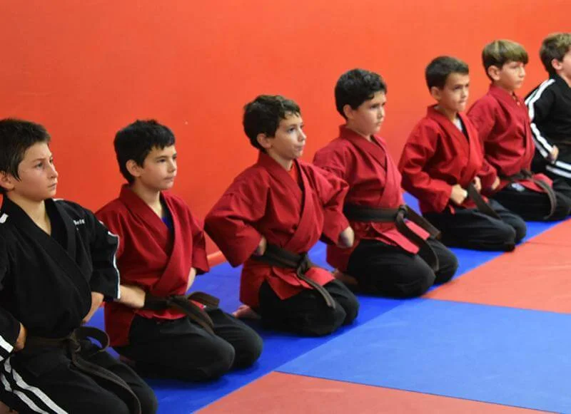 Topflight Martial Arts facility image