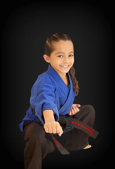 Topflight Martial Arts facility image