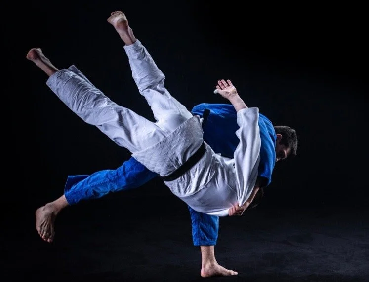 United Legion Brazilian Jiu-Jitsu LLC (ULBJJ) facility image