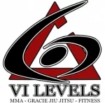 VI Levels Orlando facility image