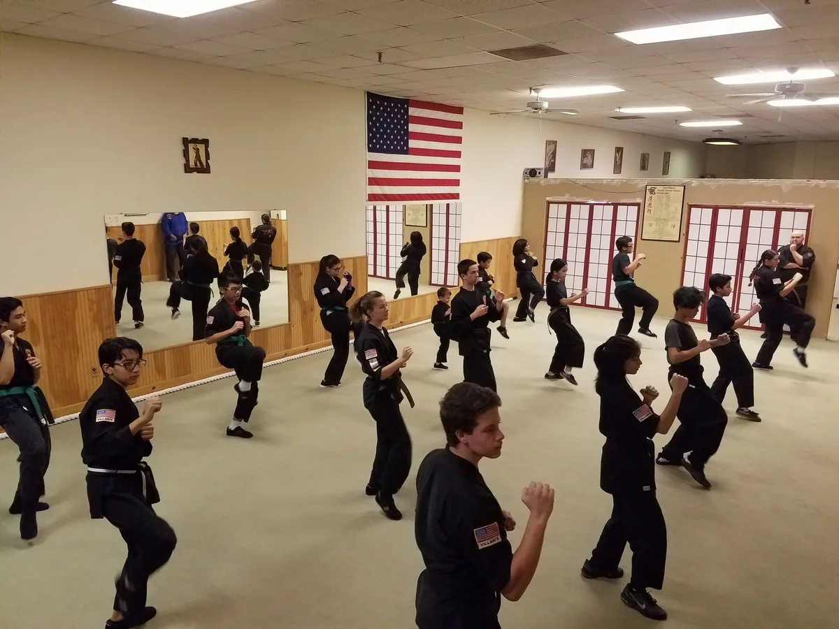 Villari's Studios of Self Defense facility image