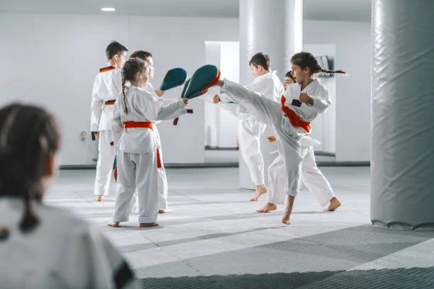 Wesley Chapel Martial Arts Academy facility image