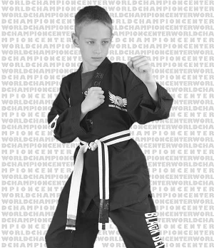World Champion Center WCC Taekwondo Martial Arts School facility image