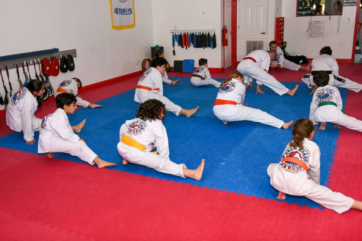 World Class Taekwondo facility image