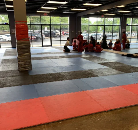 Alpharetta Martial Arts (Nova Uniao) facility image