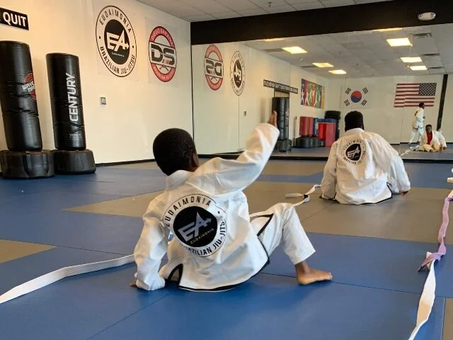 Eudaimonia Brazilian Jiu Jitsu facility image