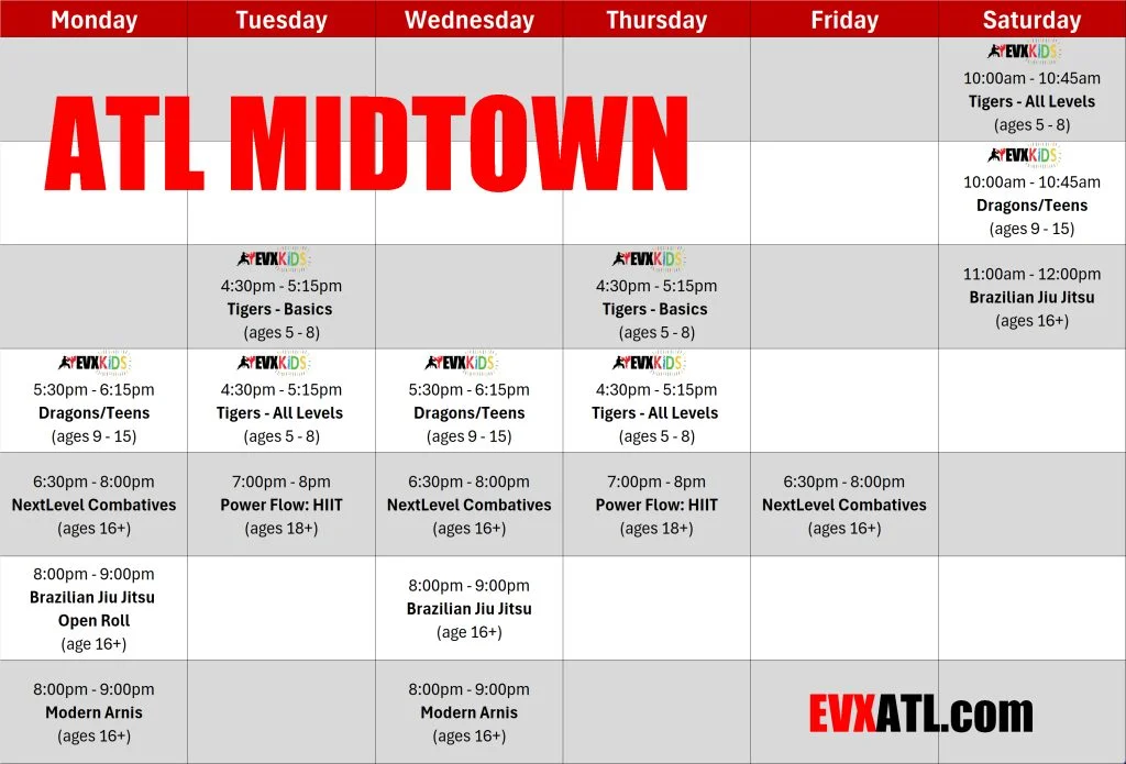 Evolution X Martial Arts facility image