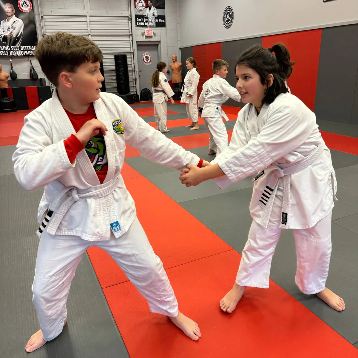 Gracie Jiu Jitsu Athens facility image