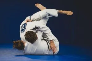 Gracie Jui-Jitsu Balance Academy facility image