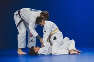 Gracie Jui-Jitsu Balance Academy facility image