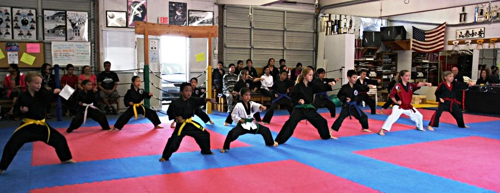 Kim's Martial Arts academy logo