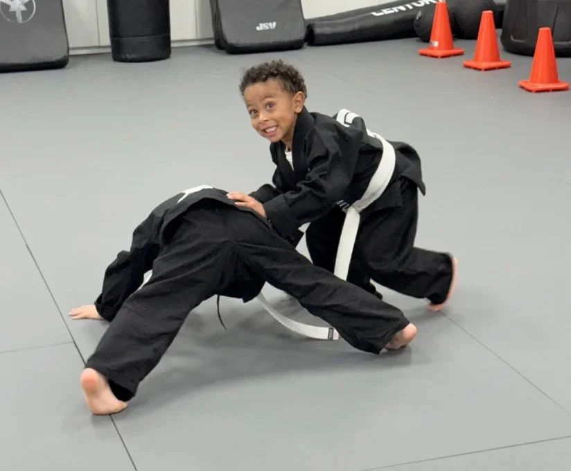 Laviano Jiu Jitsu facility image