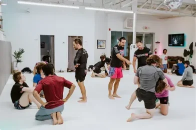 Super Fly Jiu-Jitsu academy logo