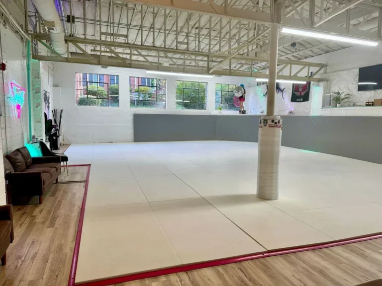 Super Fly Jiu-Jitsu facility image