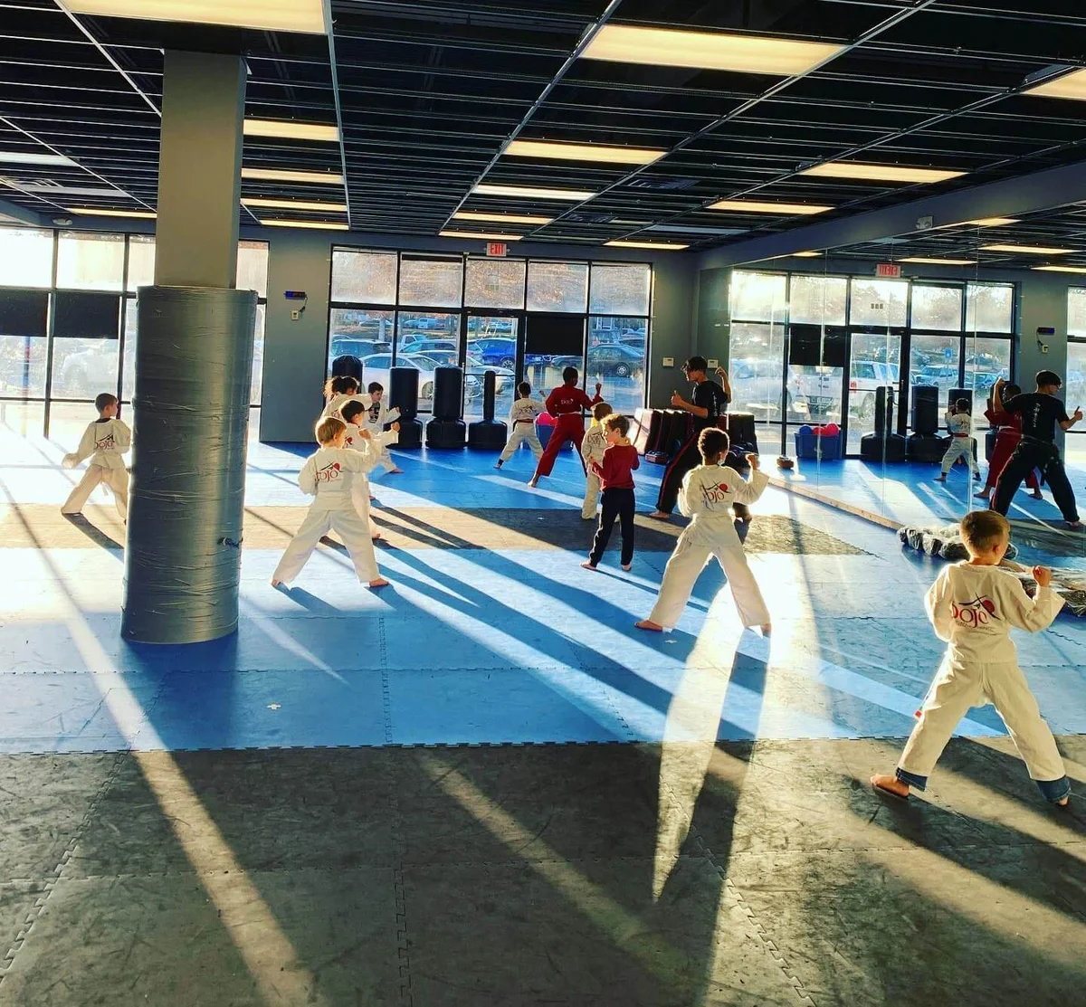 The Dojo American Karate Centers facility image