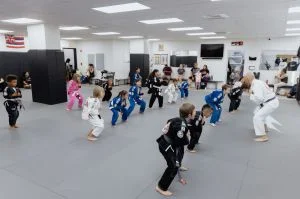 CJJF Central facility image
