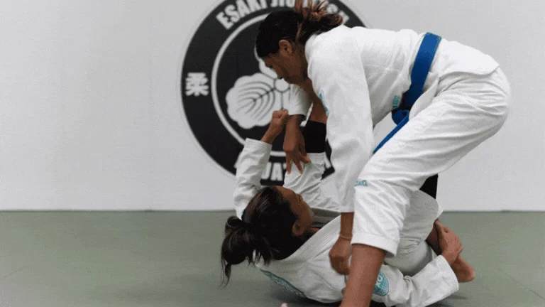 Esaki Jiu Jitsu Academy facility image