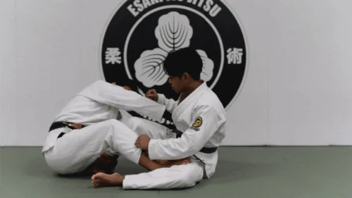 Esaki Jiu Jitsu Academy facility image