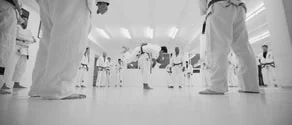 Relson Gracie Jiu-Jitsu Association facility image